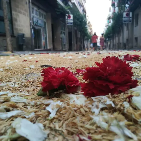 Pure Pool Sensation Sitges